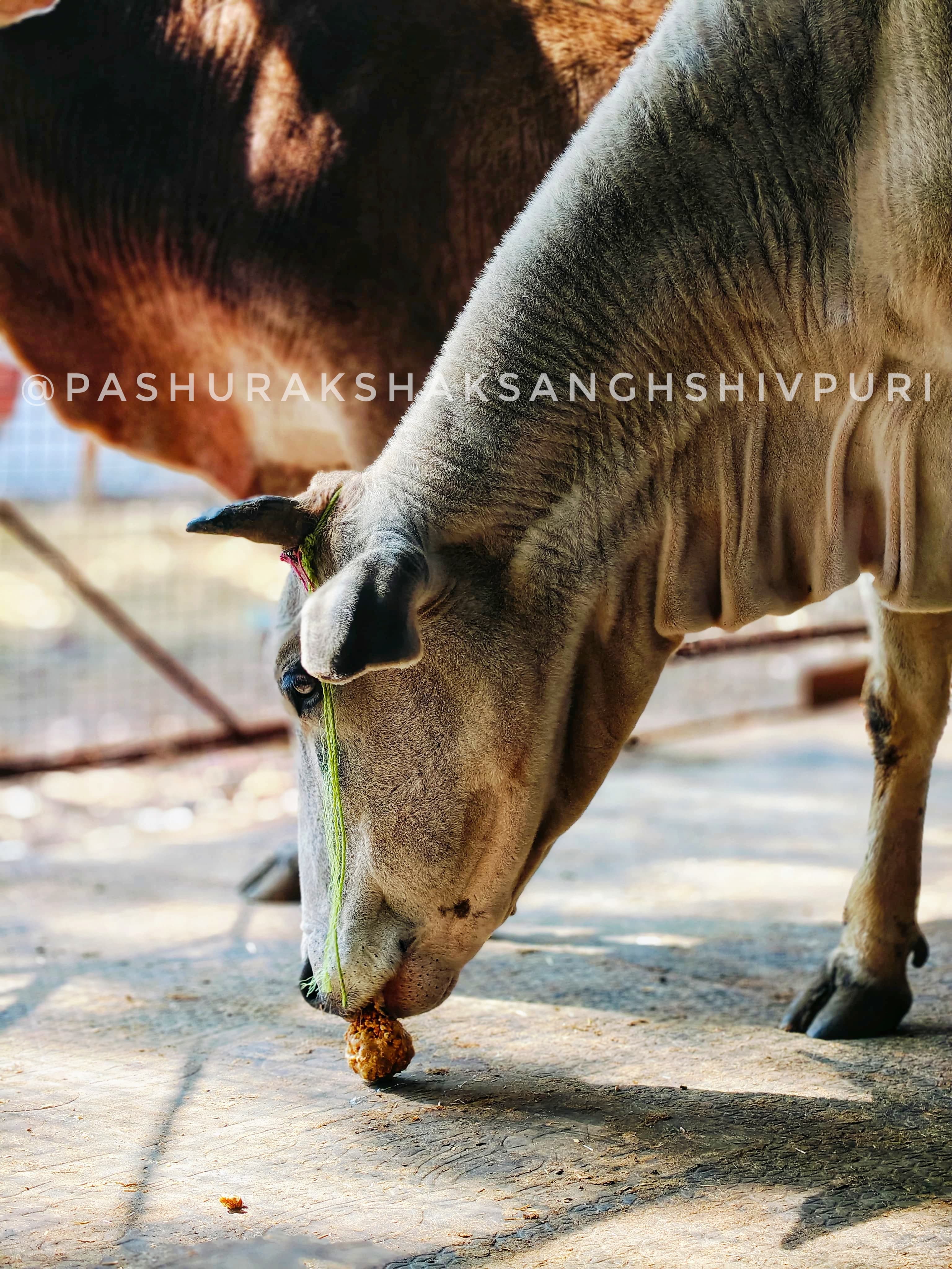 Ambulance for Rural Areas