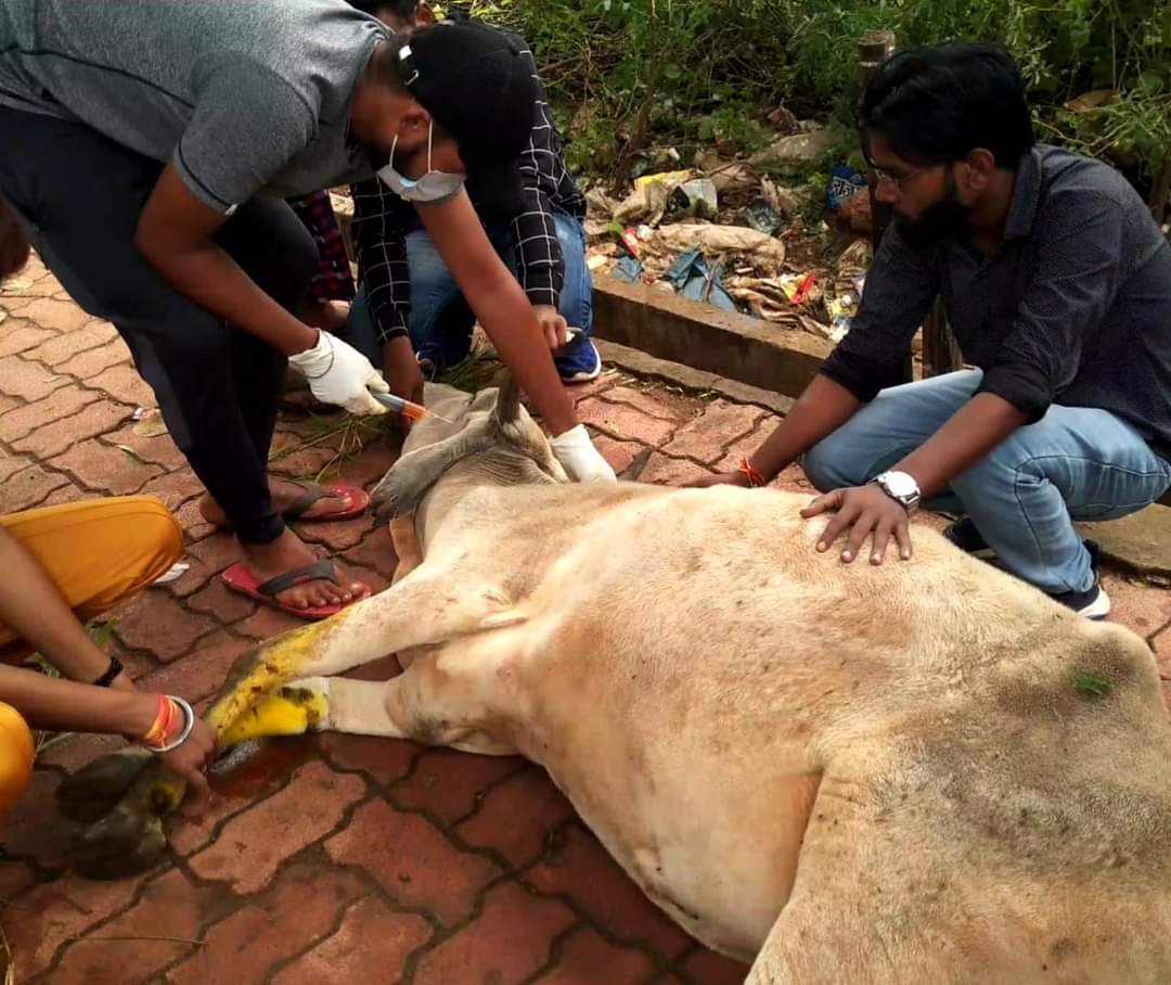 Animal rescue by Pashu Rakshak Sangh