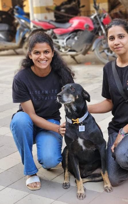 Reflective collar initiative